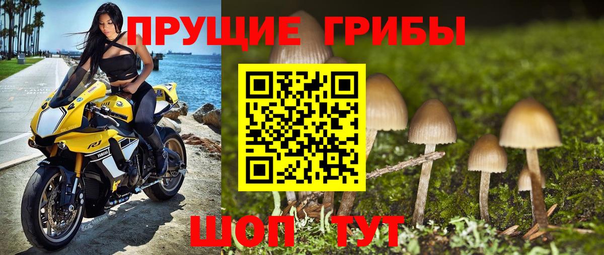 Псилоцибиновые грибы мицелий Шадринск