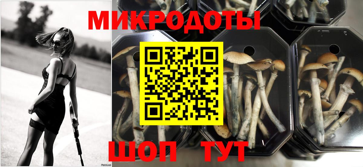 Псилоцибиновые грибы GOLDEN TEACHER  Галлюциногенные грибы мухоморы  Шадринск  Вход с VPN 